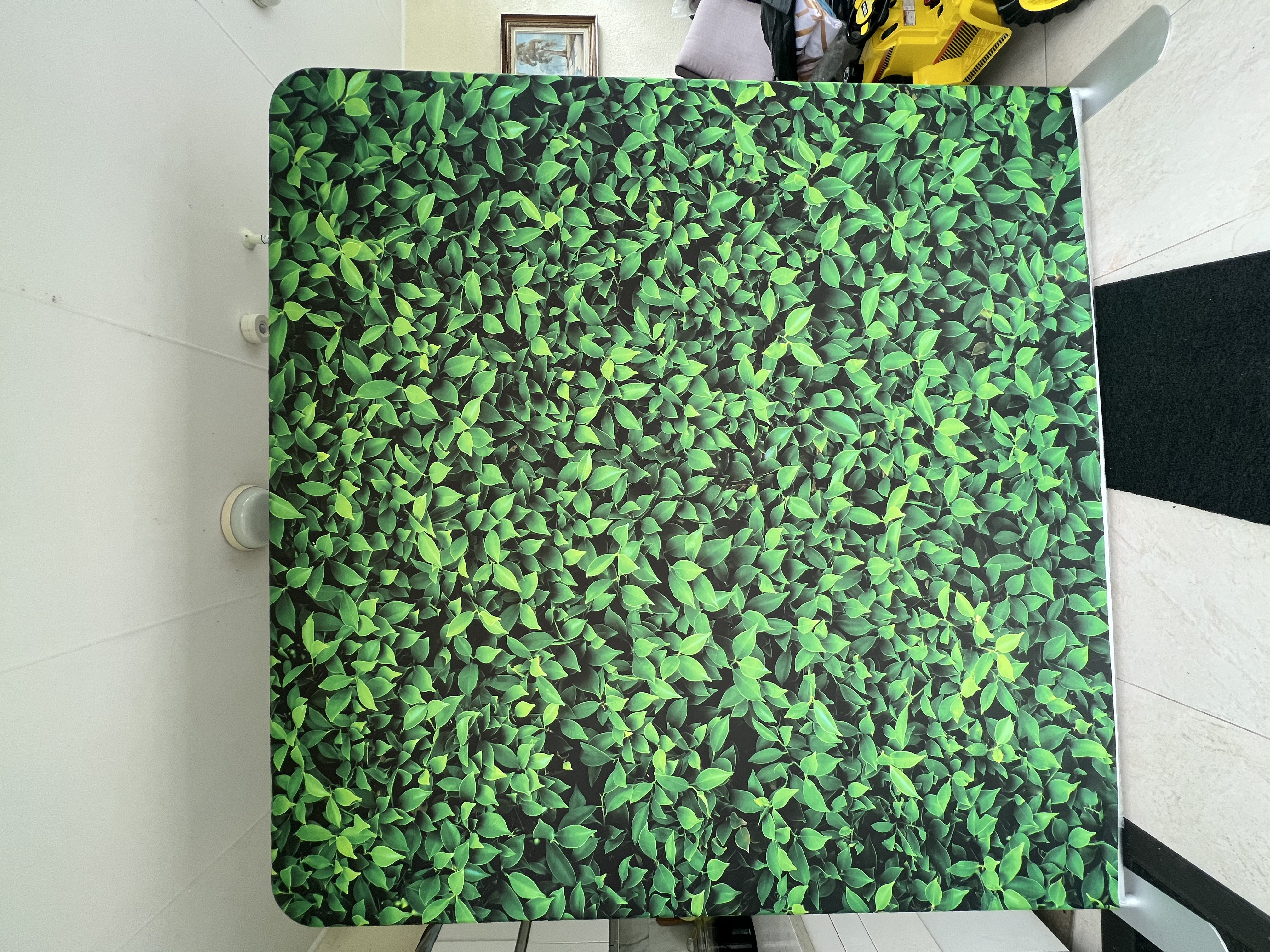 Garden green backdrop